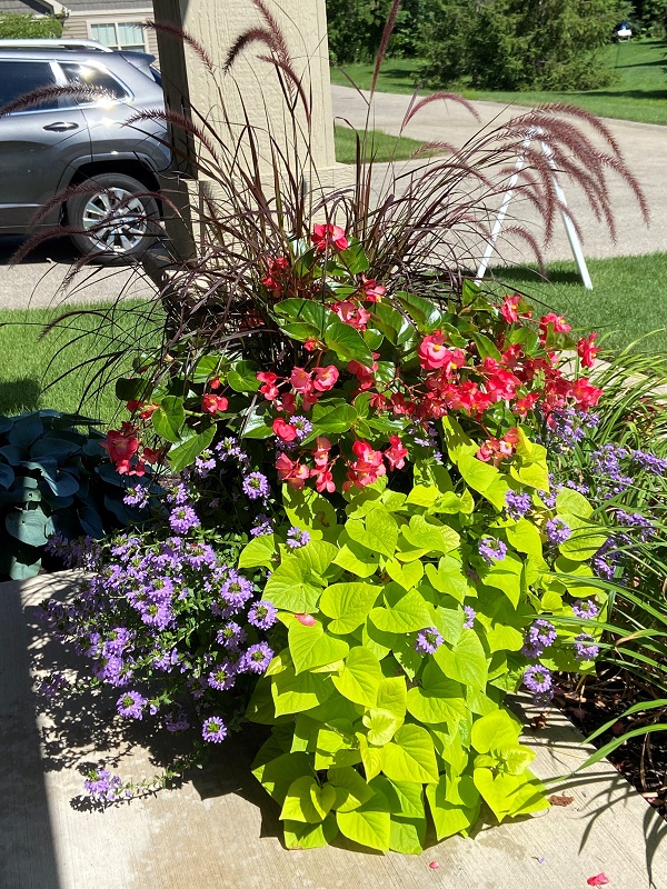 Independent Living Rentals in Jenison M