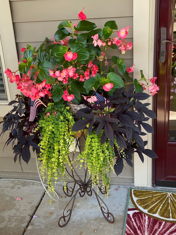 Independent Living Rentals in Jenison M